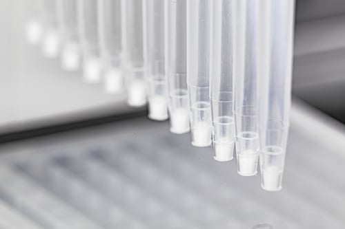 PhyTip columns for protein a purification