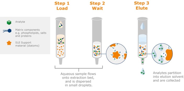 SLE Steps
