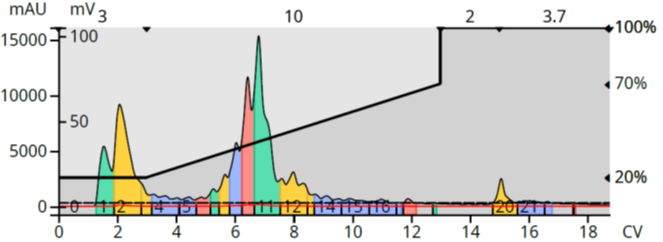 Wavy chromatogram