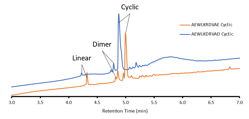 Chromatogram of Glu and Asp linked cyclic peptides.