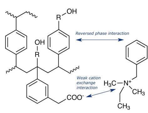 evo_wcx_structure_w_interactions