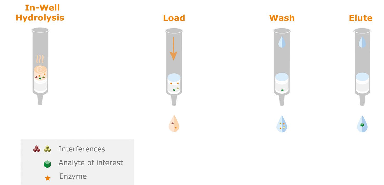 evolute_hydro_schematic2