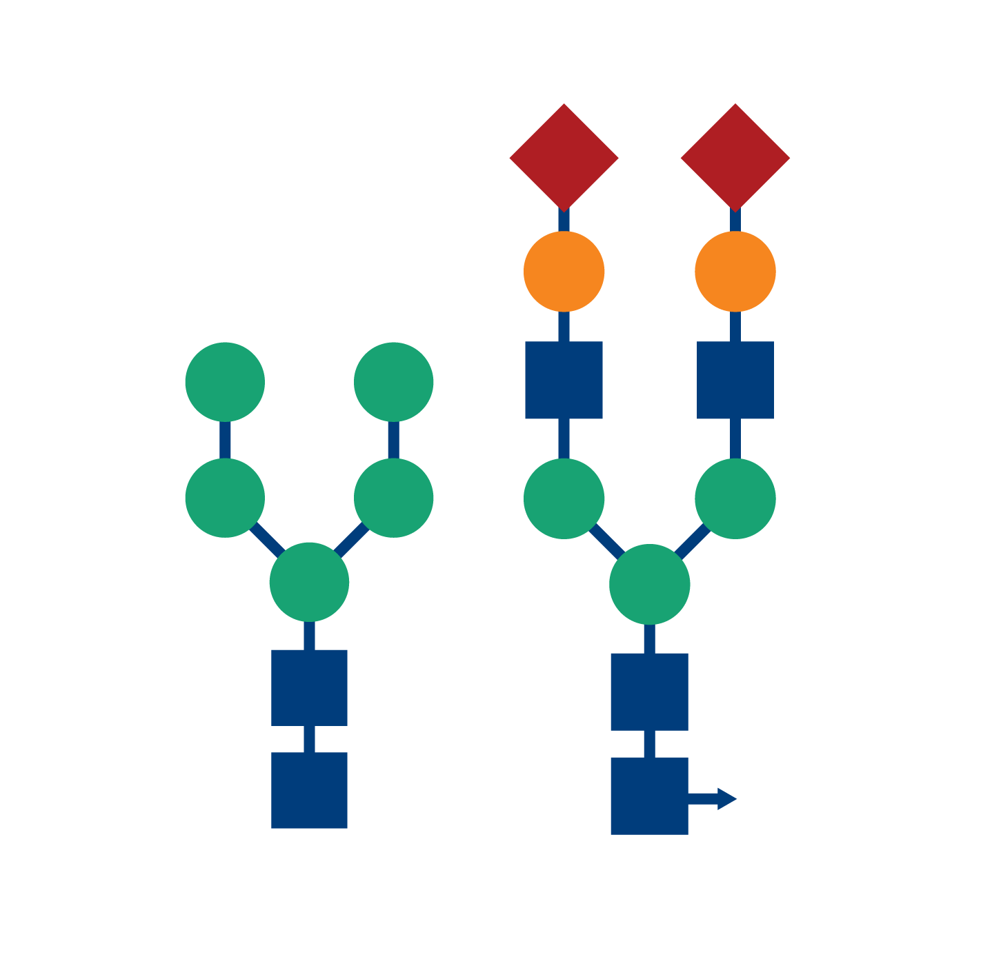 biomark002.396 - Glycan Enrichment