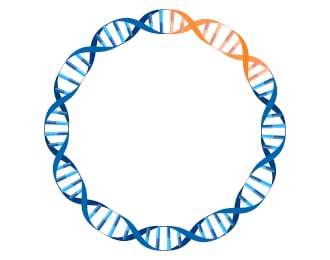 BIOMARK2.124 - Plasmid Card Image