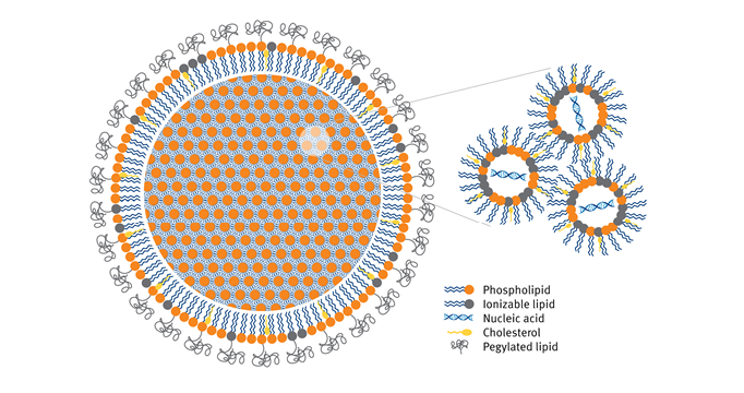 Collaborating with Croda in the Global COVID-19/mRNA Vaccine Response