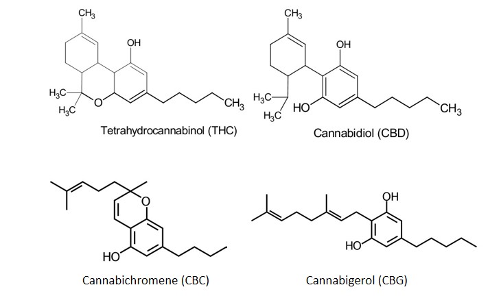 4 major cannabinoids