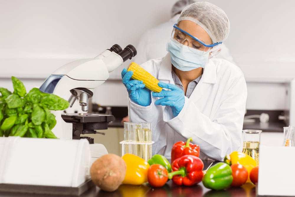 Food scientist looking at corn cob at the university