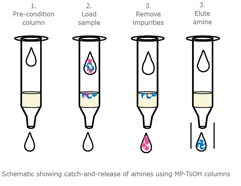 mp-tsoh-figure1